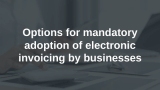 Mandatory E-invoicing for Businesses