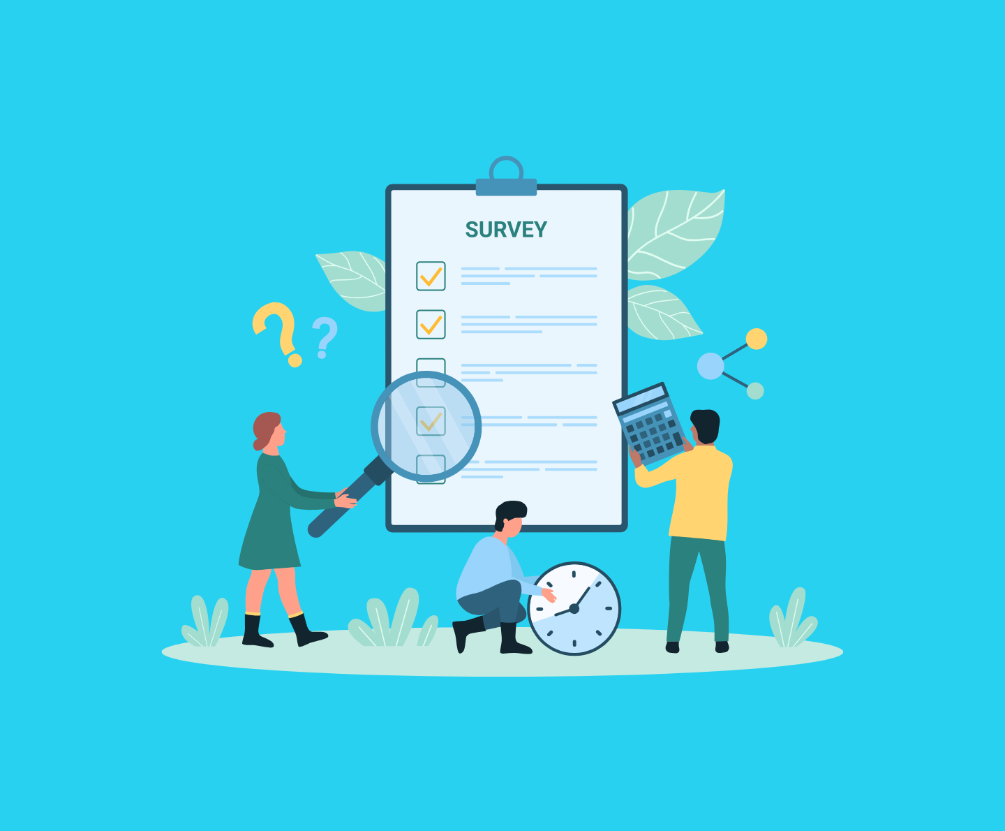 DSPANZ Member Survey Insights